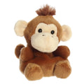 Palm Pals - Boomer Monkey image 0