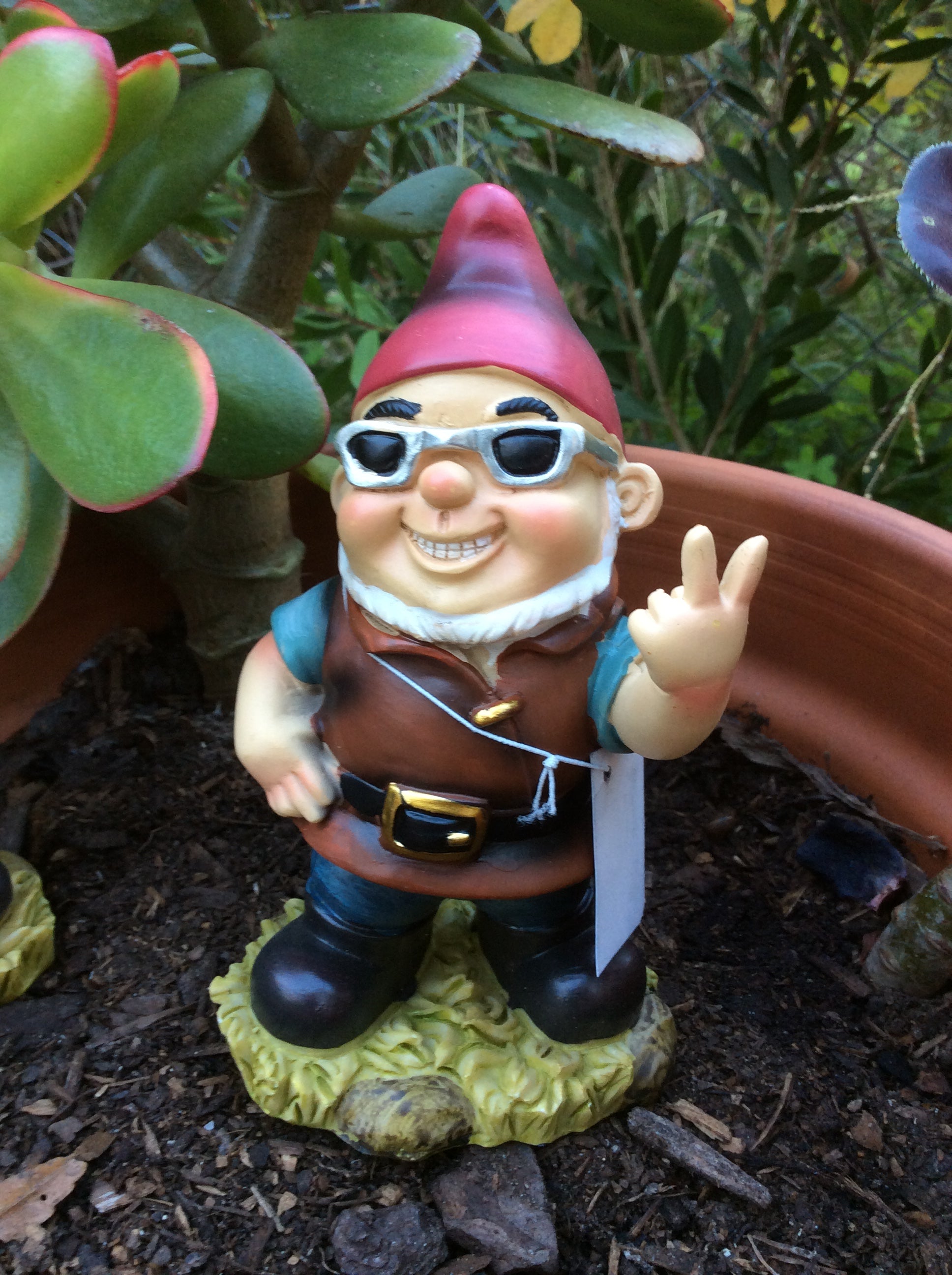 Naughty Gnomes image 1