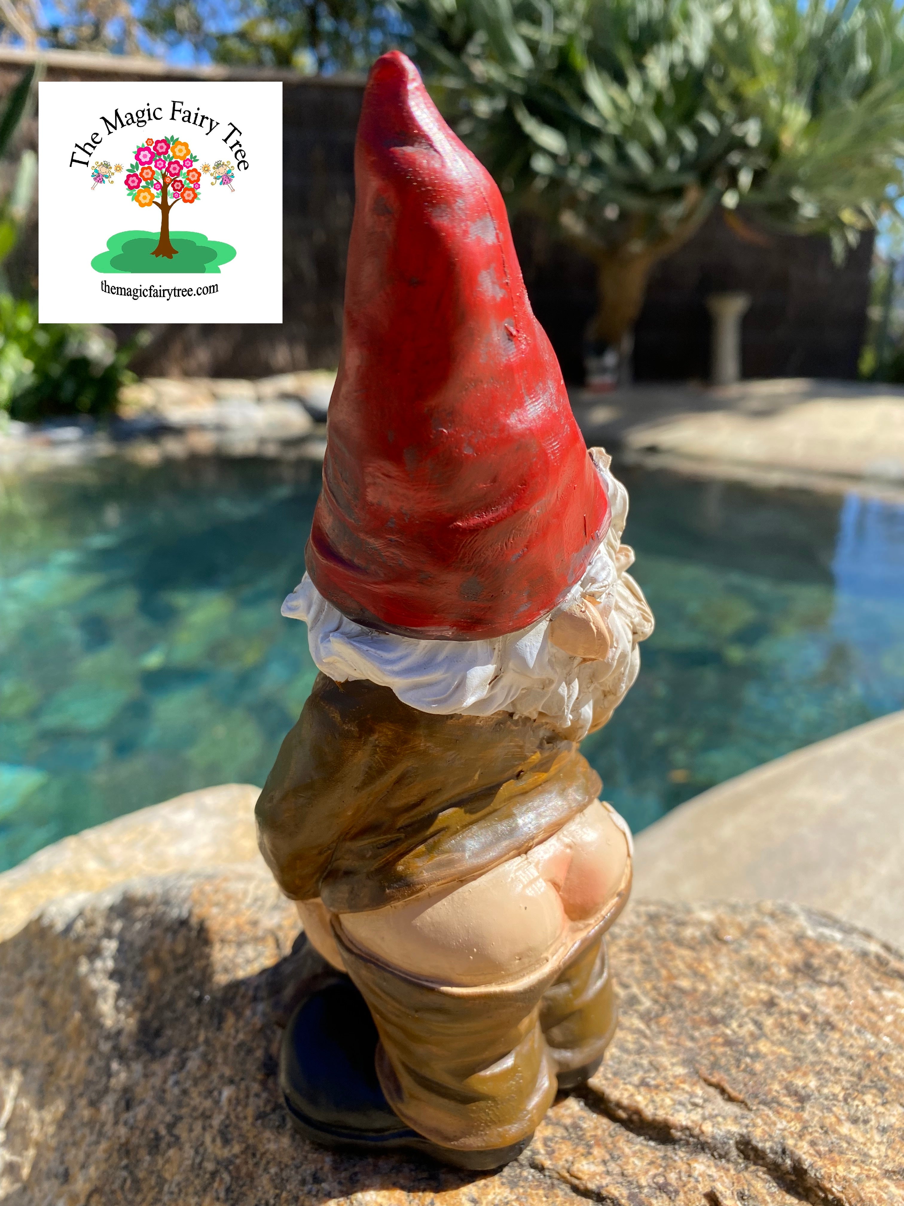 Rude Novelty Gnomes image 3