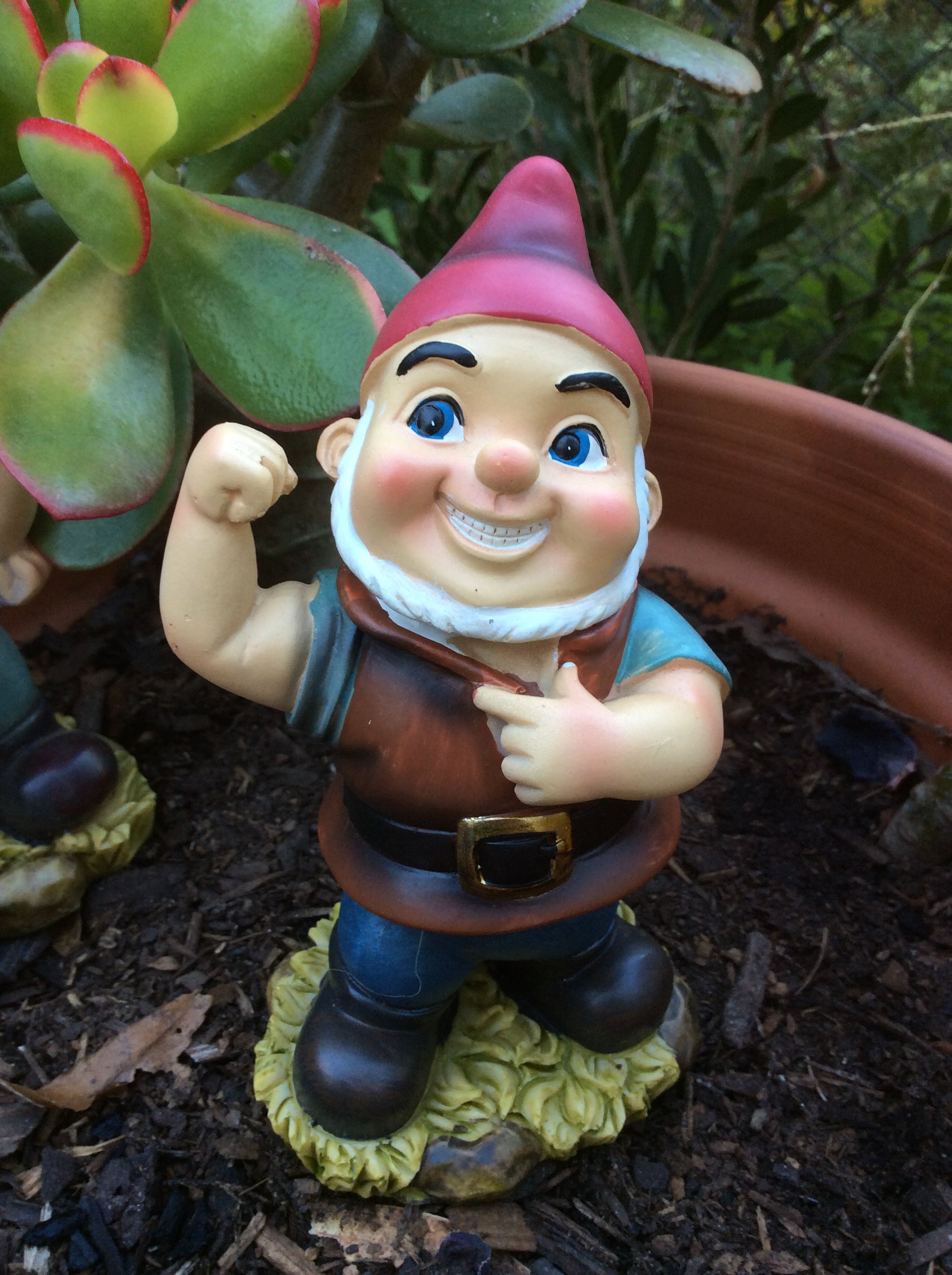 Naughty Gnomes image 5