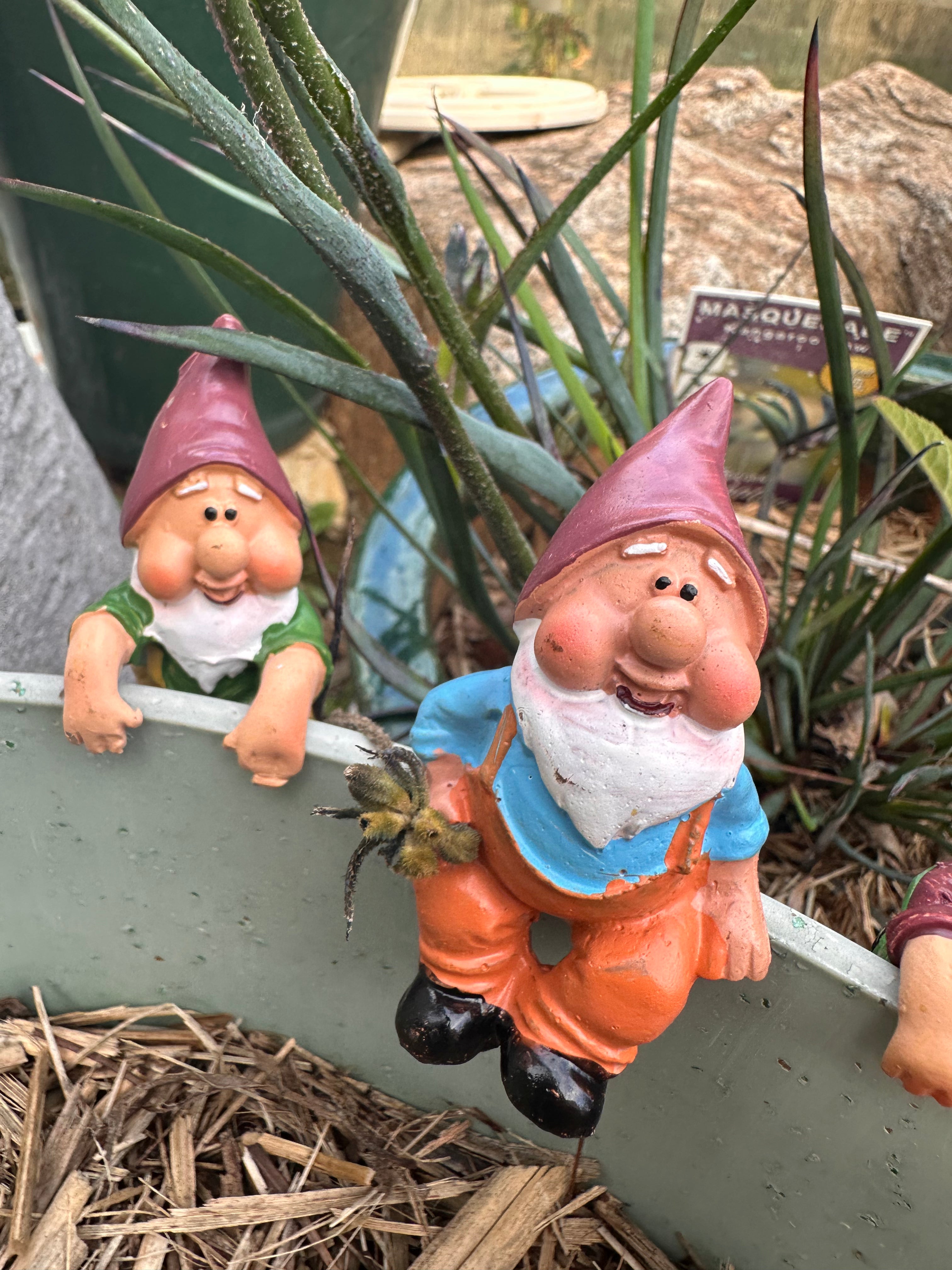 Gnome pot sitters image 10