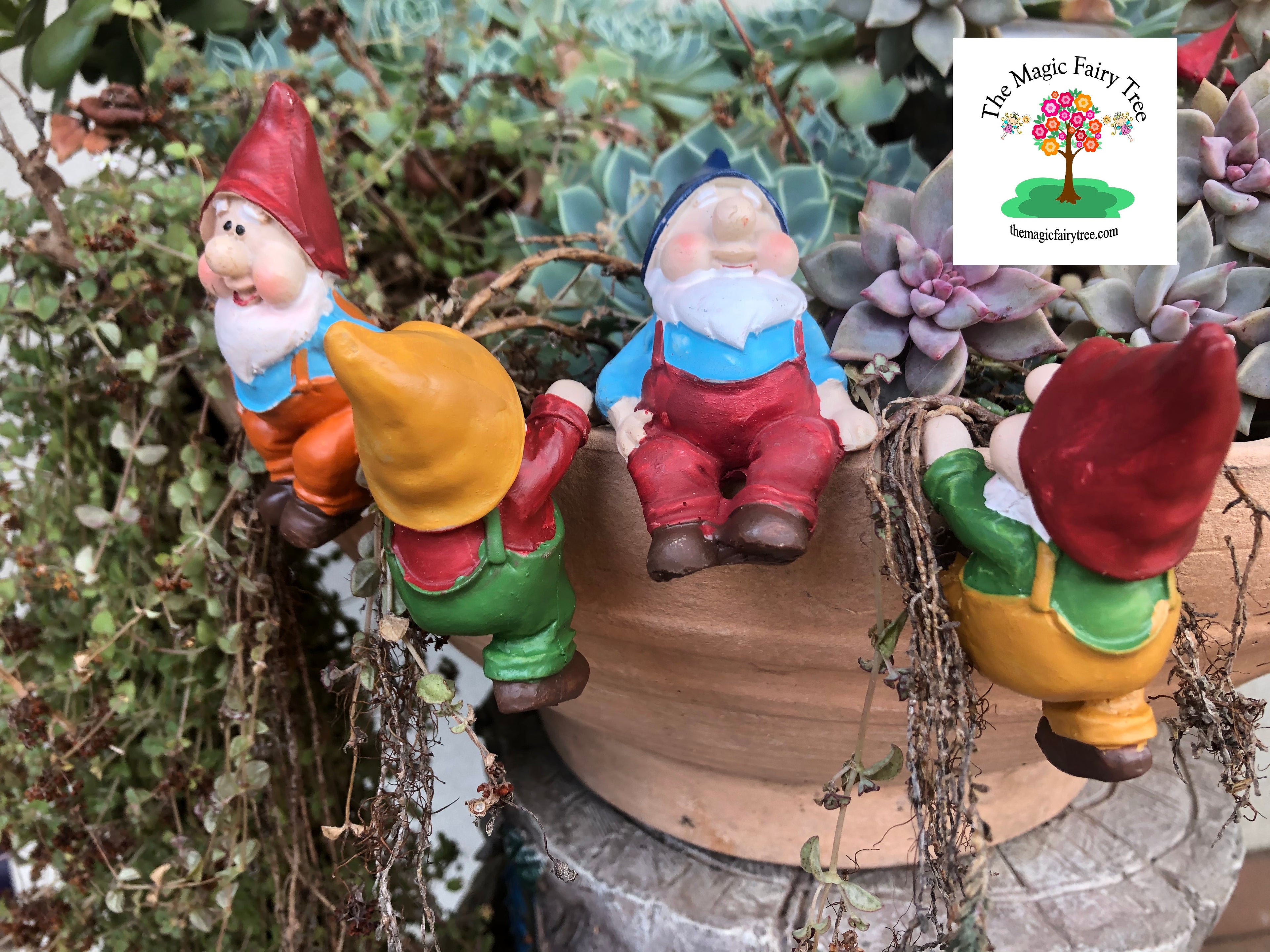 Gnome pot sitters image 0