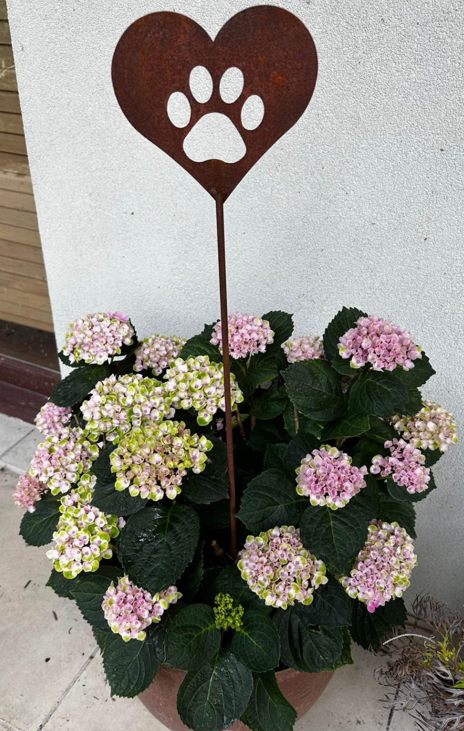 Rusty Heart Stakes image 4