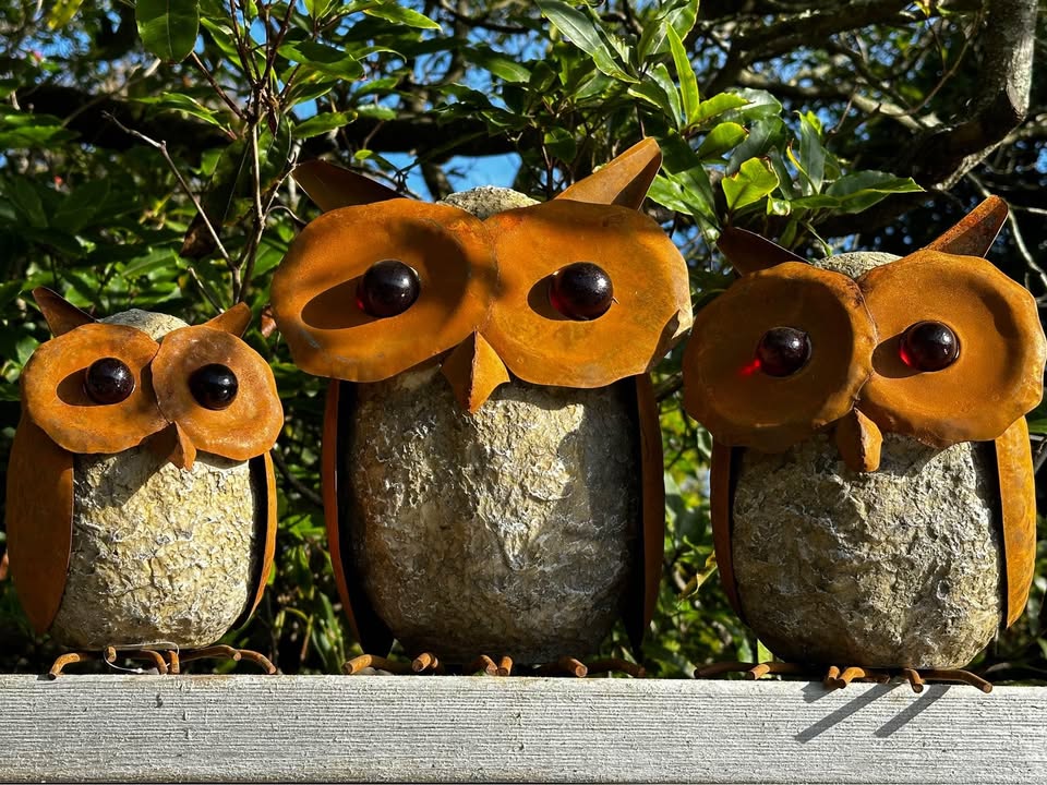 XL Rust and Resin Owl Decor