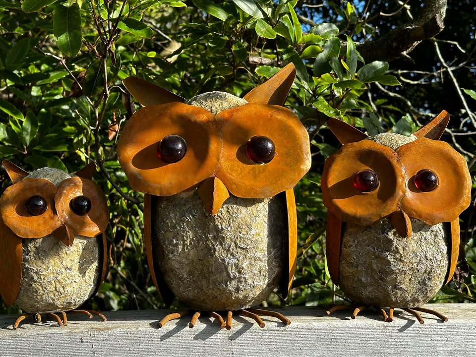XL Rust and Resin Owl Decor