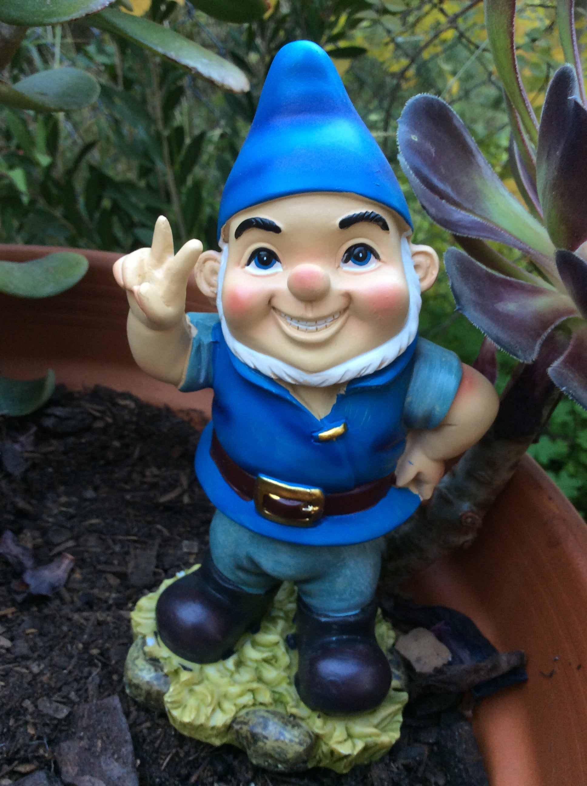 Naughty Gnomes image 2