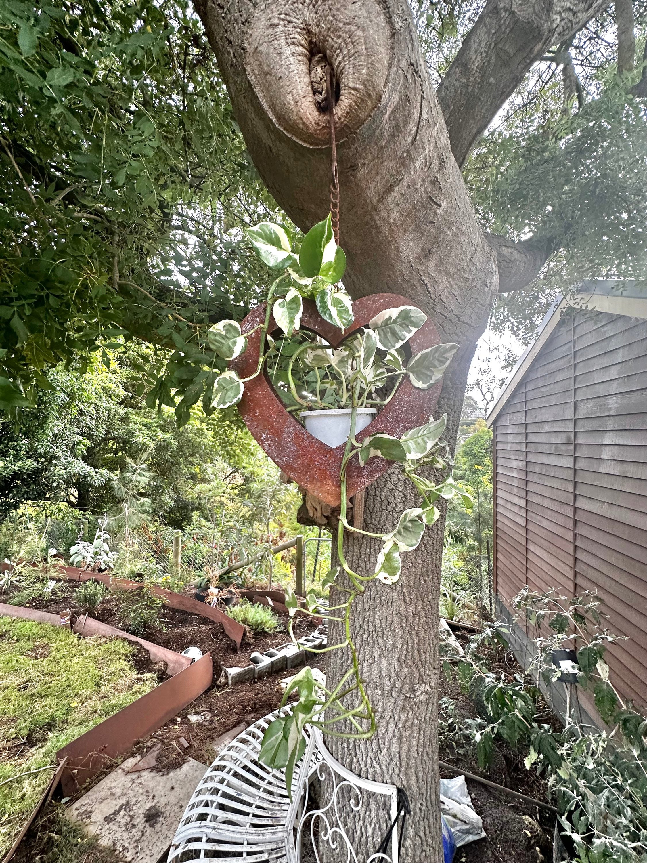 Rusty hanging heart planter  image 3