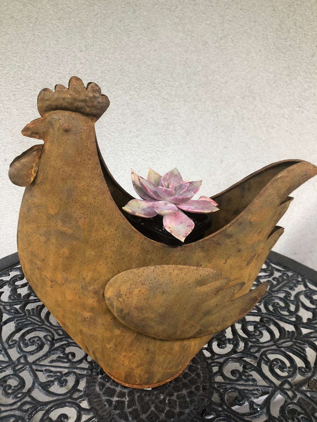 Rusty Chicken Planter image 5