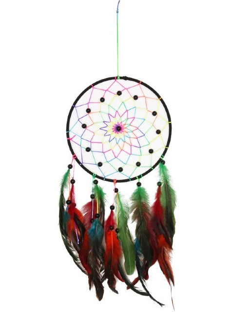 20cm black dreamcatcher image 0