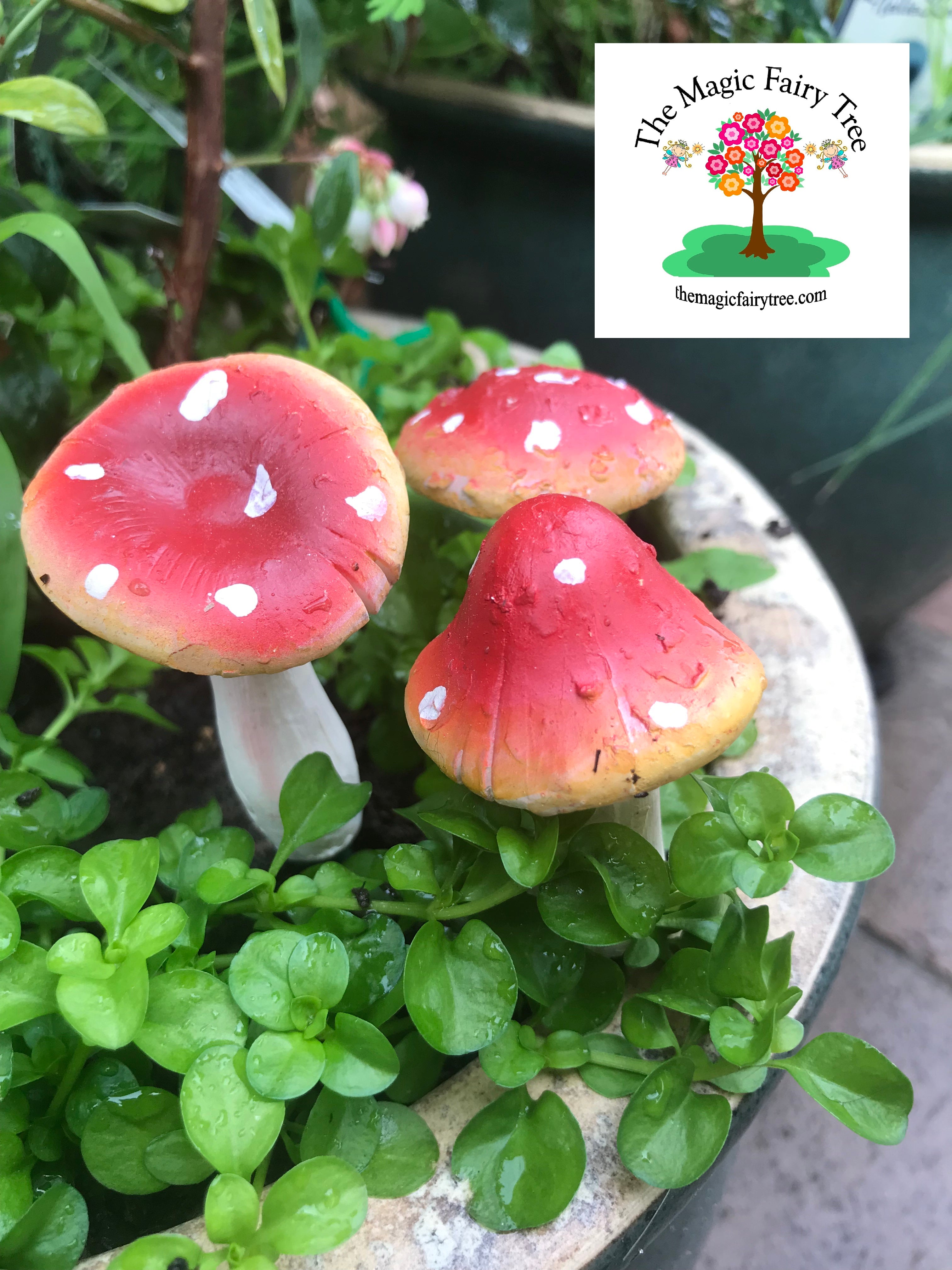 Set of 3 mushroom stakes image 1