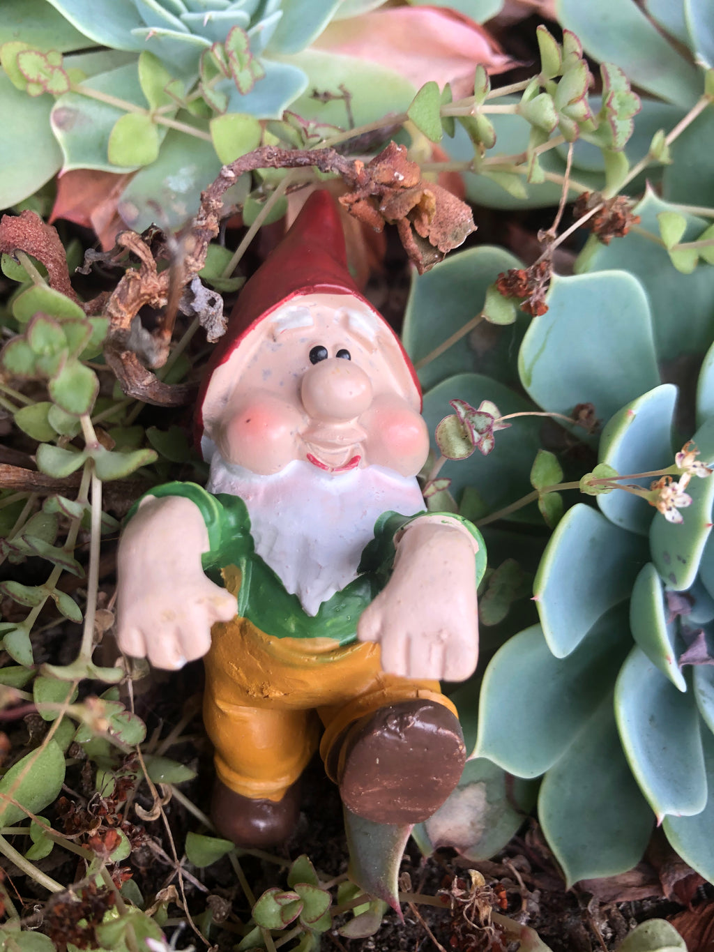 Gnome pot sitters image 5