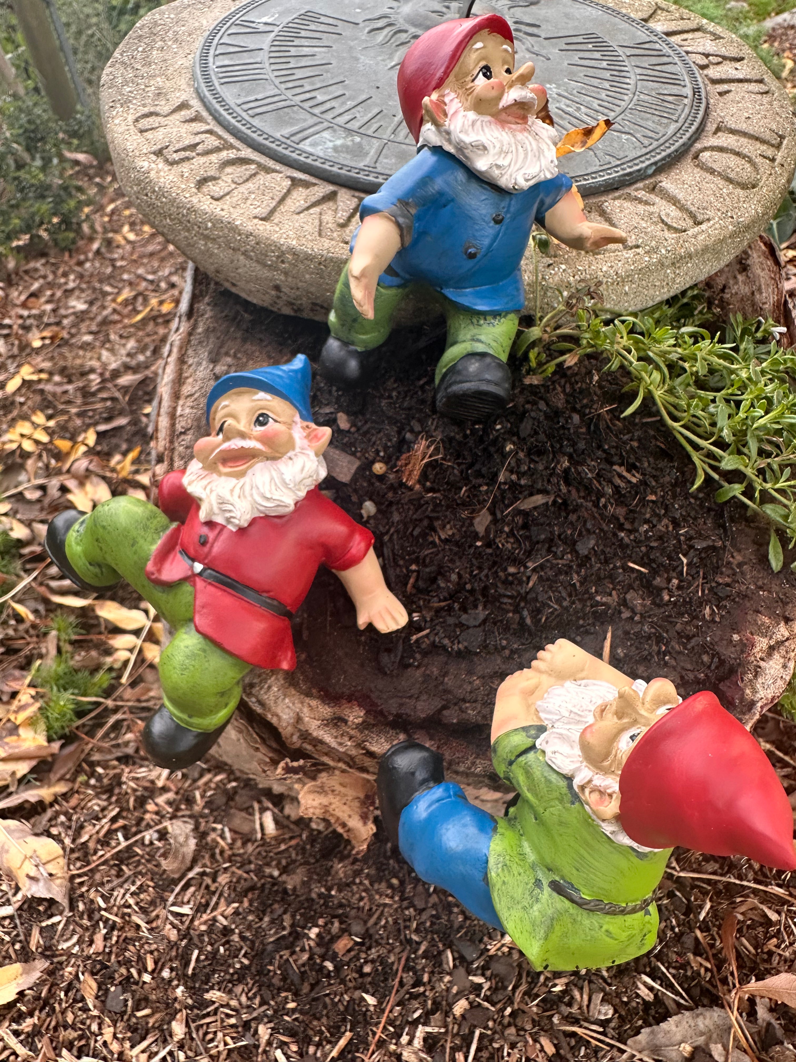 Garden Gnome pot sitters image 4