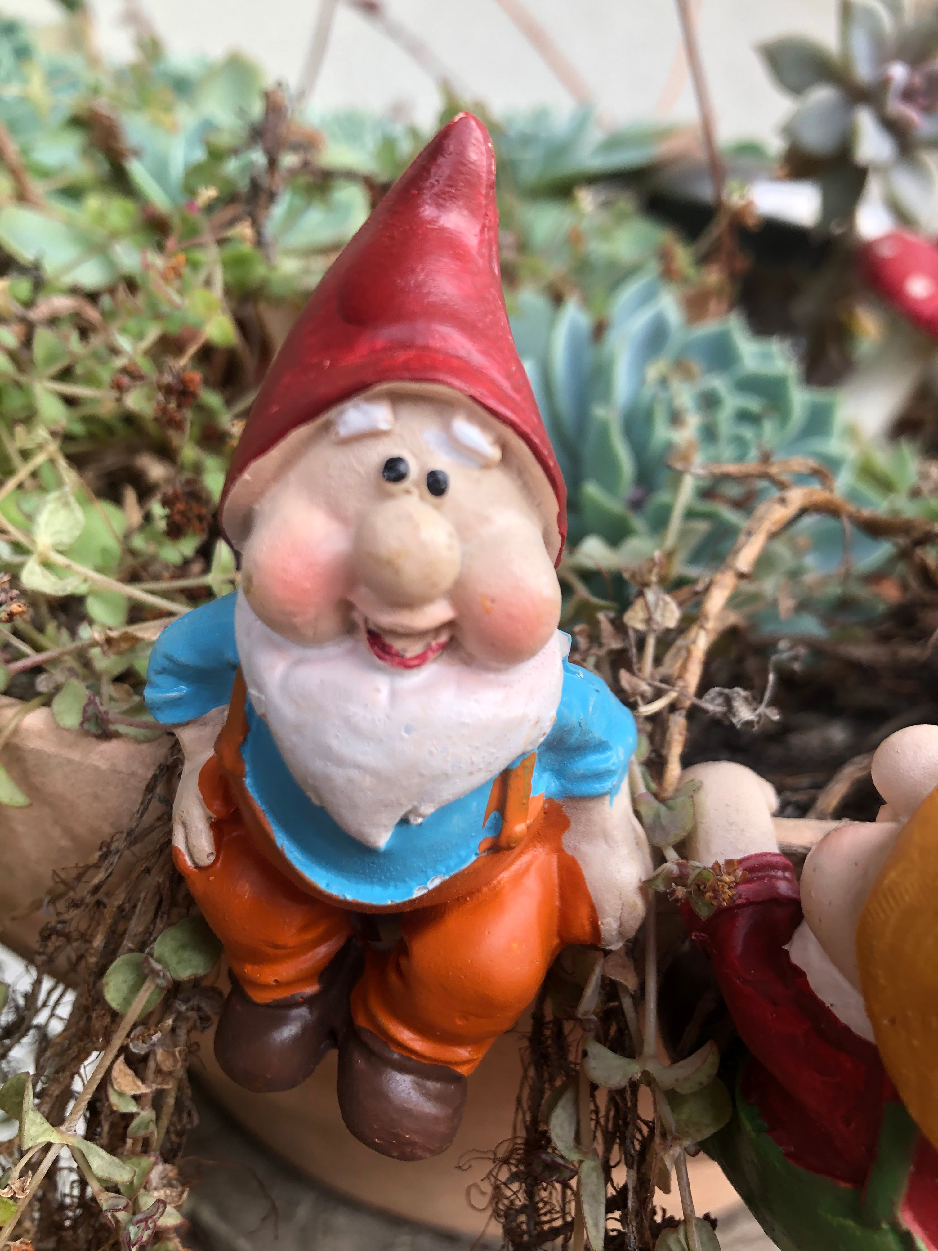 Gnome pot sitters image 3