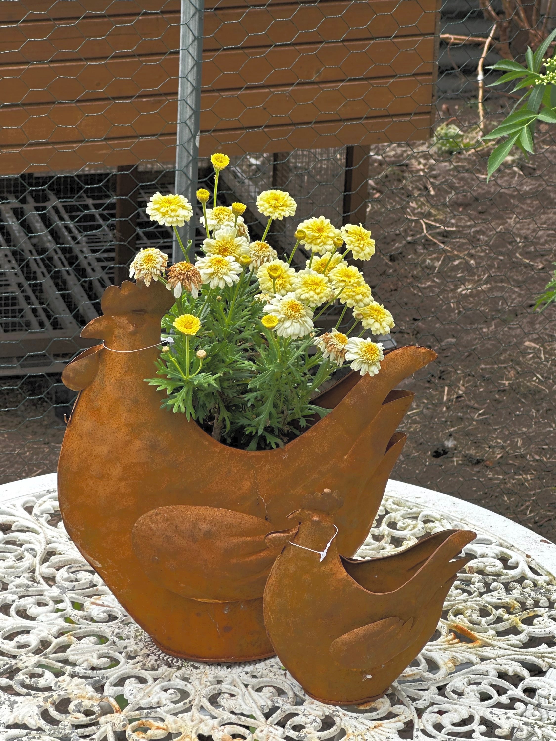 Rusty Chicken Planter image 0