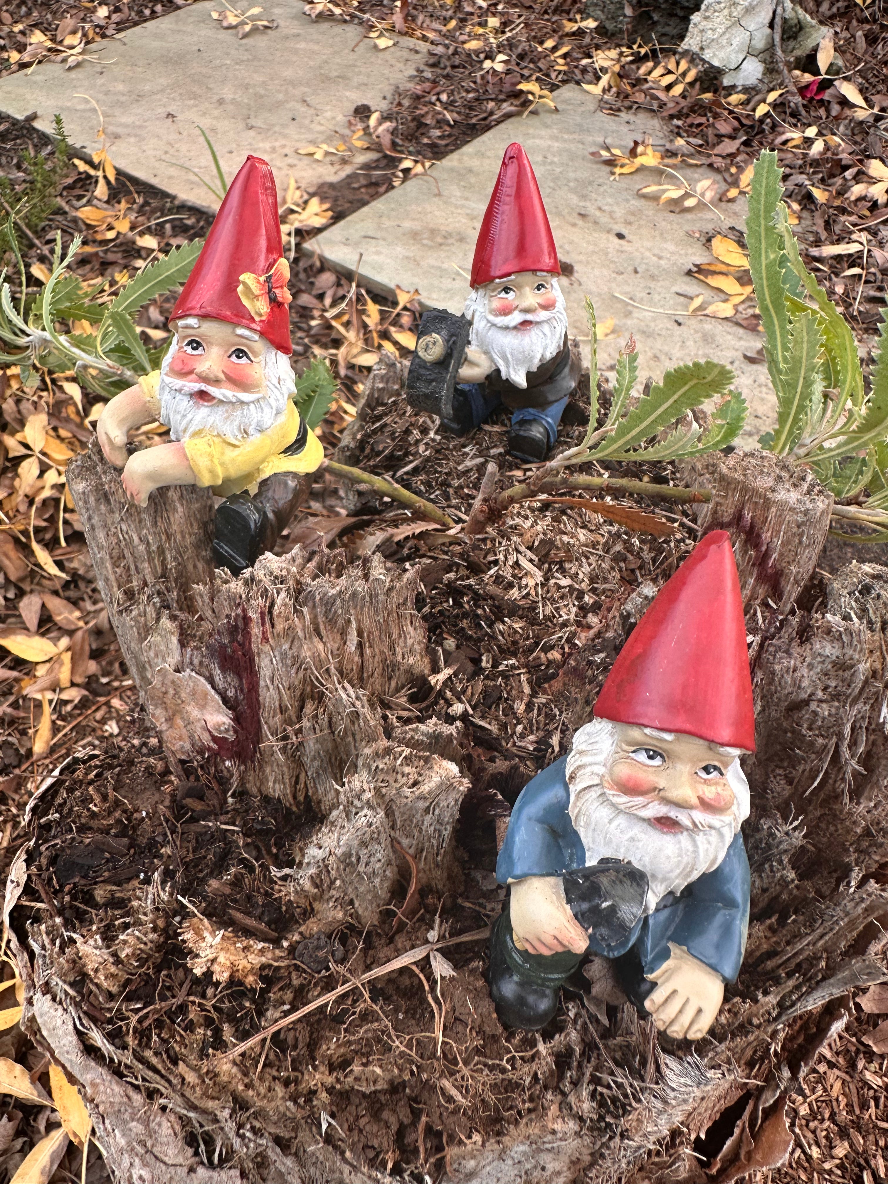 Gardening Gnome pot sitters image 0