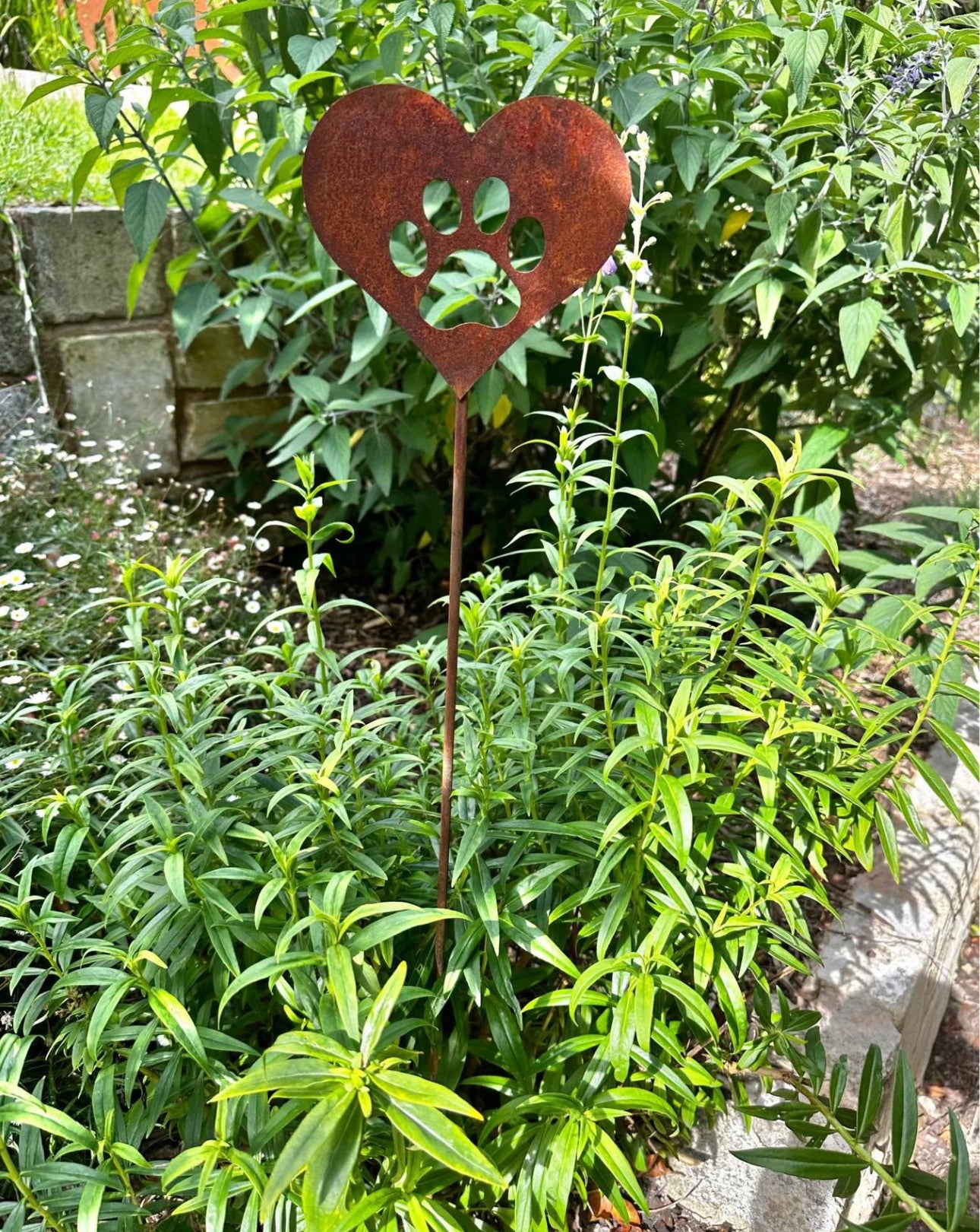Rusty Heart Stakes image 1
