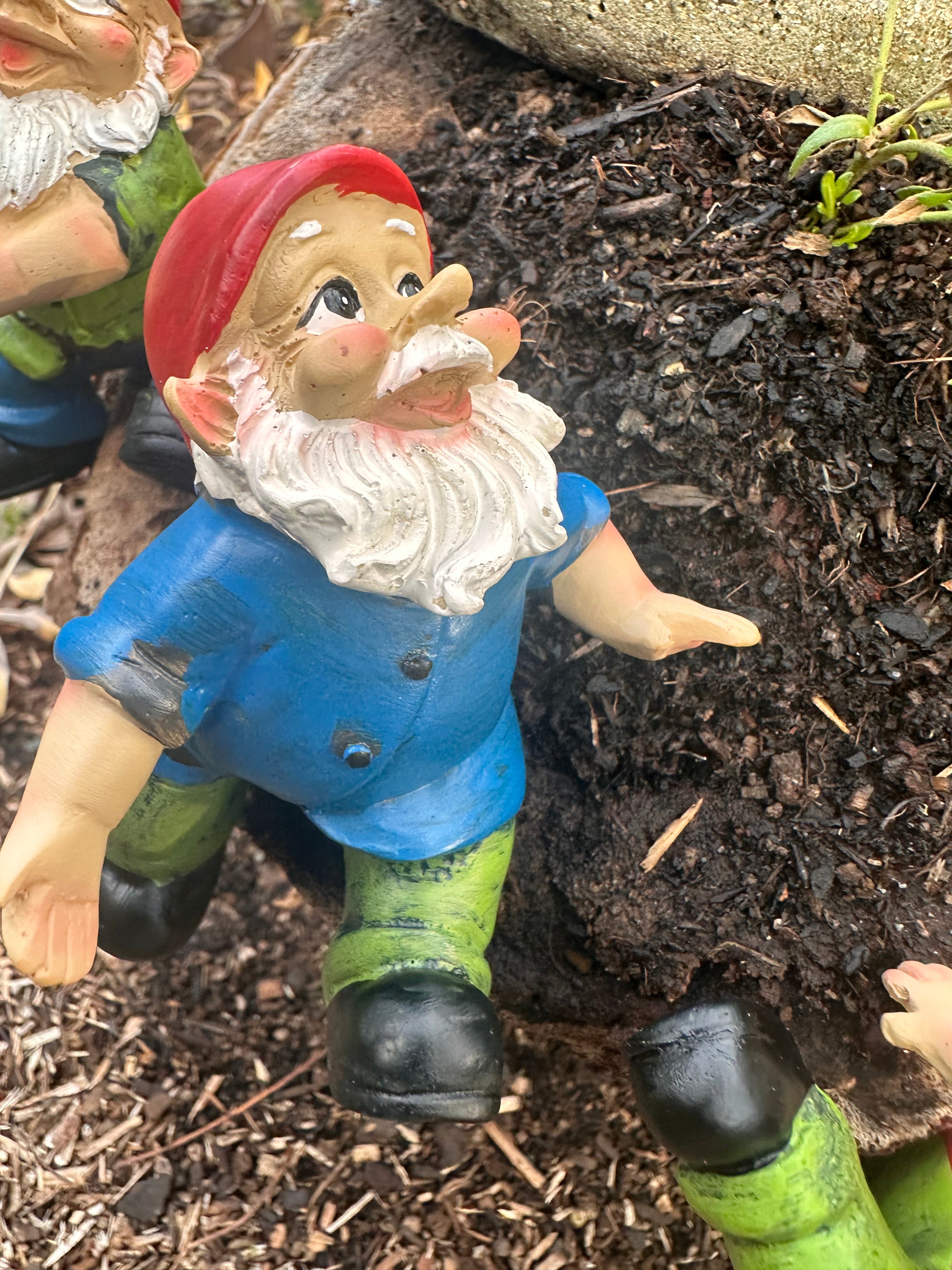 Garden Gnome pot sitters image 2