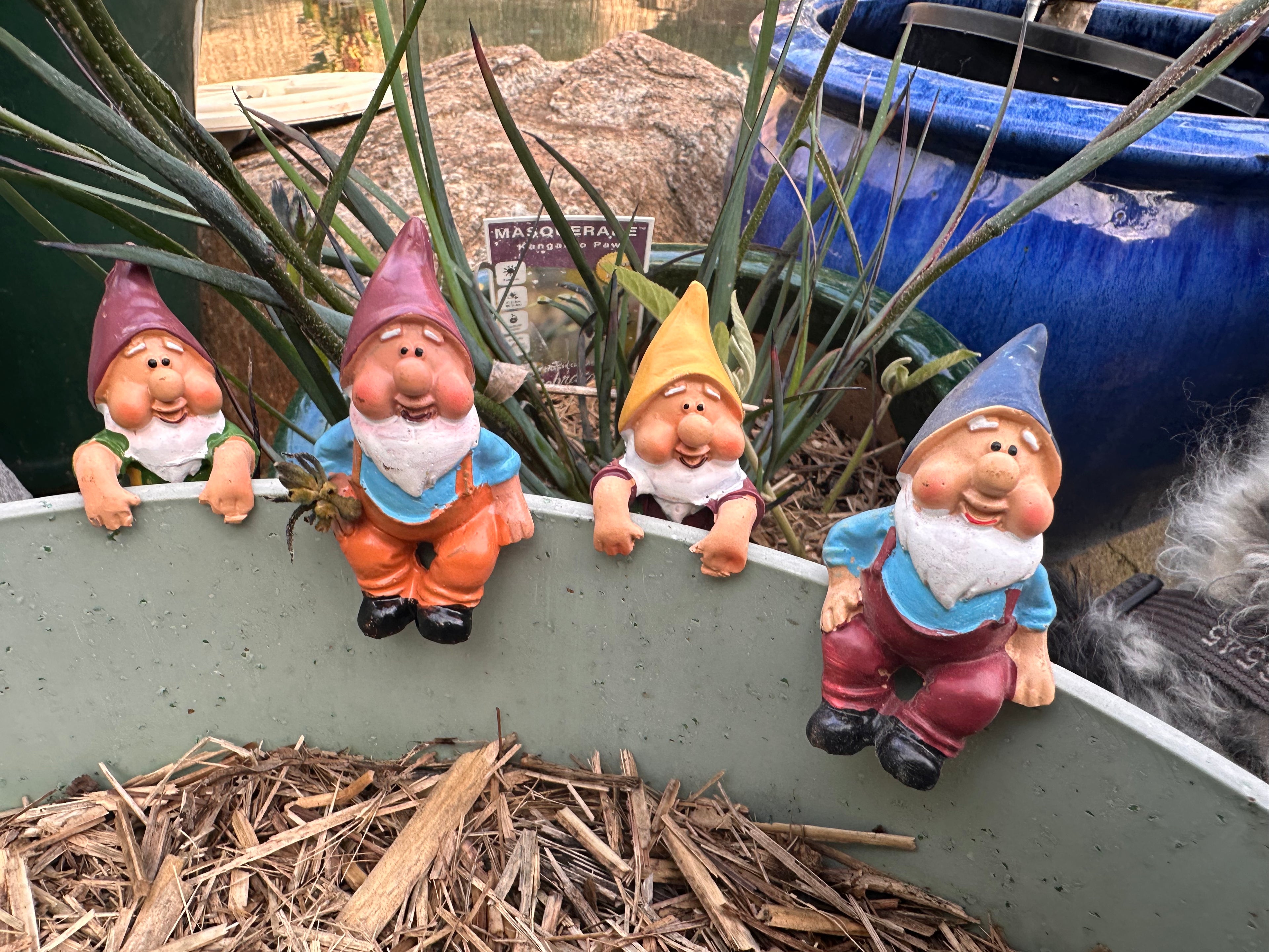 Gnome pot sitters image 11