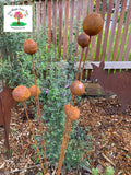 Rustic Billy Buttons Kinetic Garden Art image 0