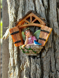 Fairy Charlotte in window  image 0