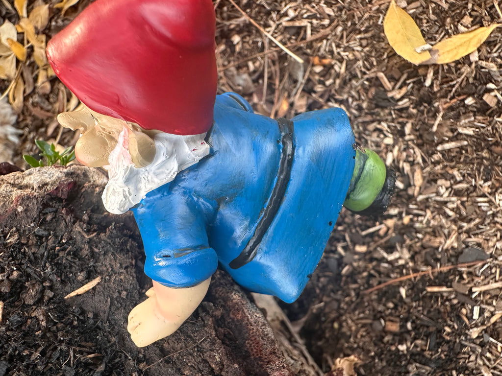 Garden Gnome pot sitters image 9