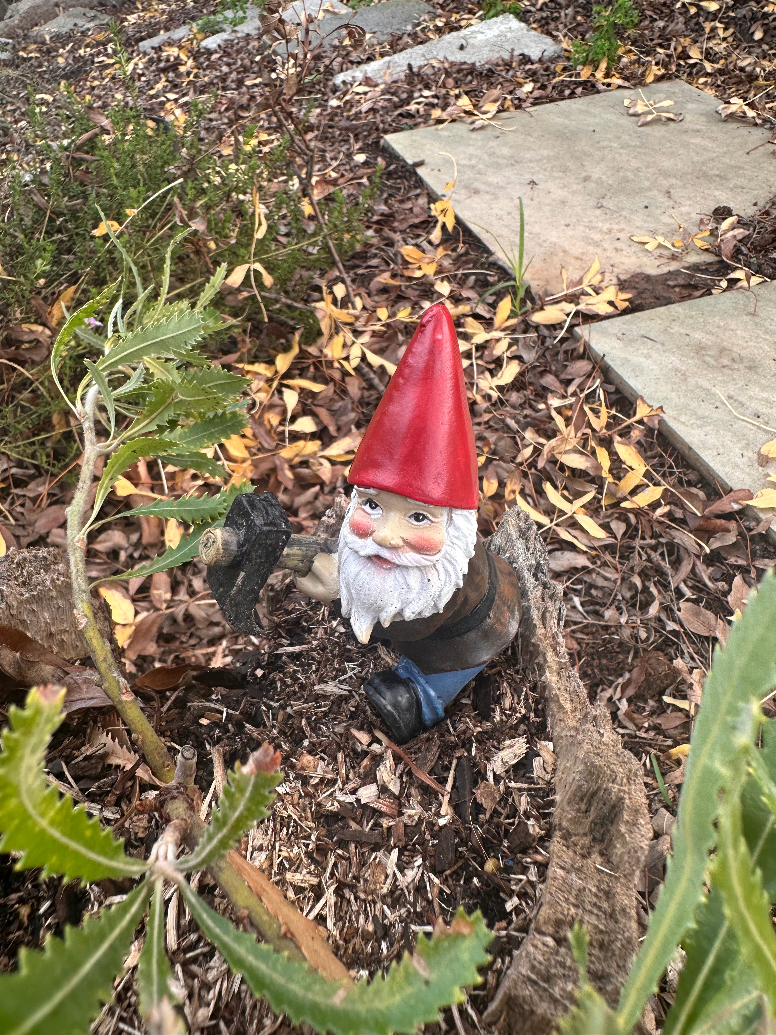 Gardening Gnome pot sitters image 3