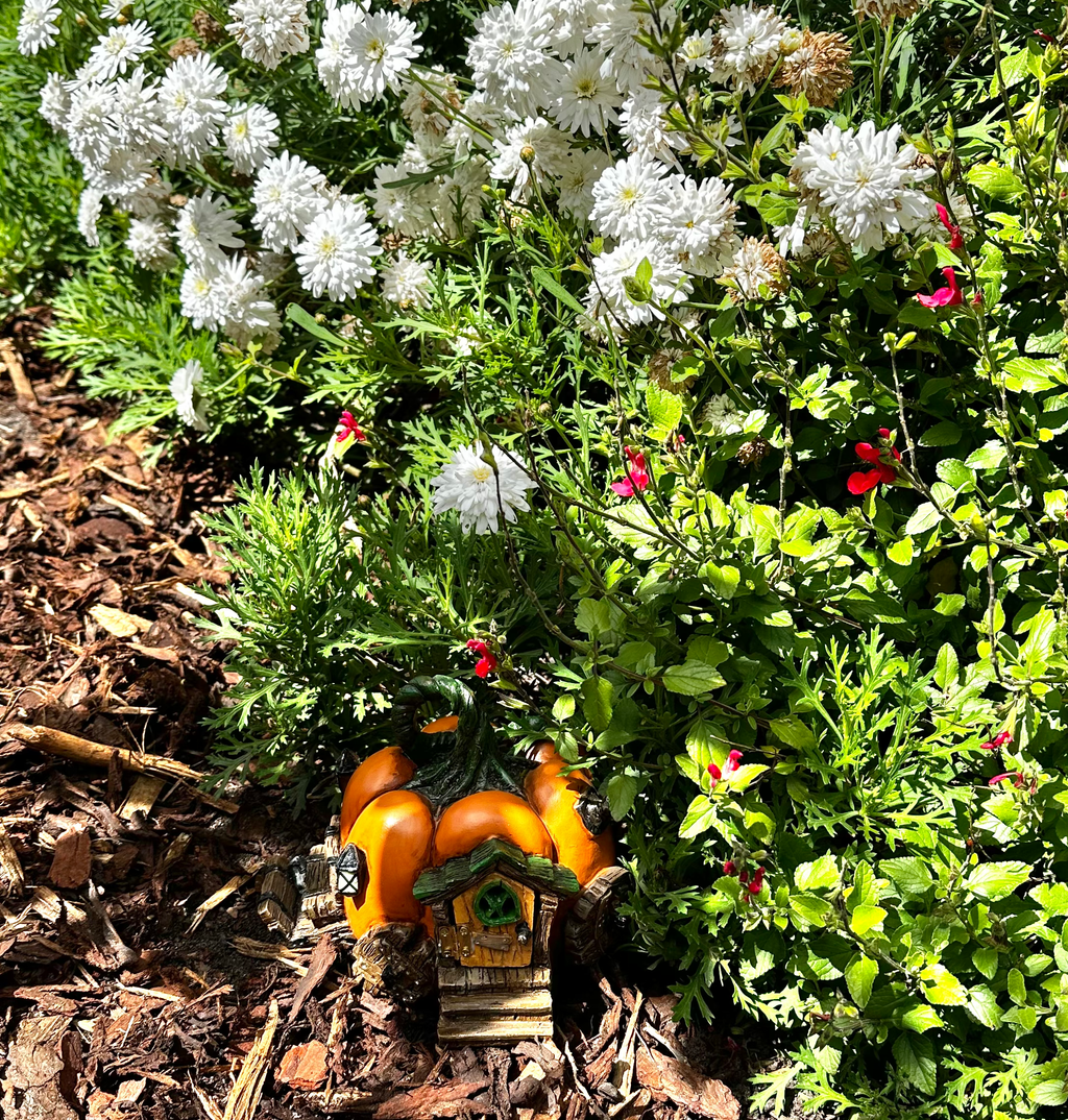 Fiddlehead Pumpkin Carriage Fairy House image 5