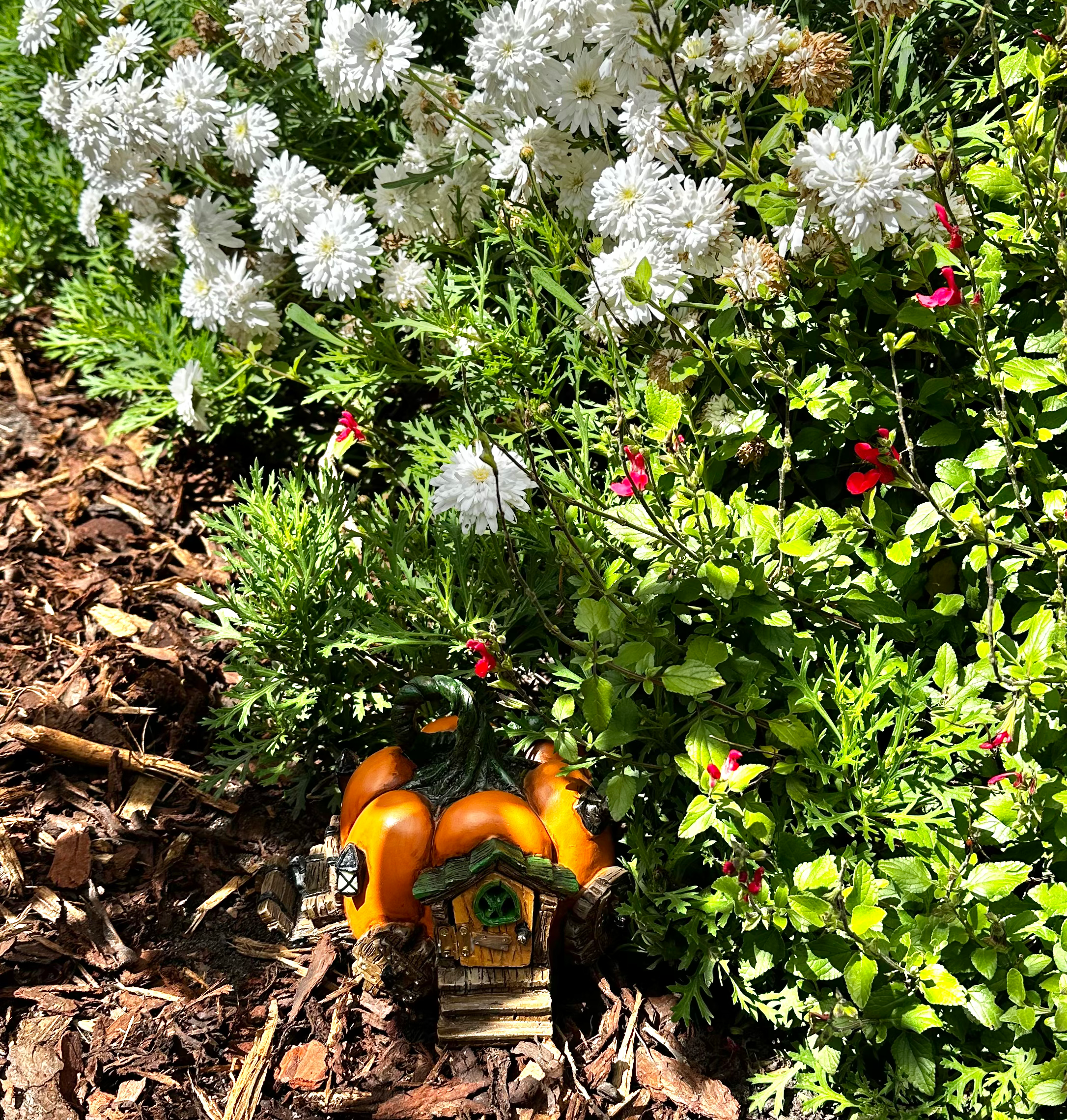 Fiddlehead Pumpkin Carriage Fairy House image 5