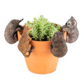 Australian animal pot sitters / pot huggers