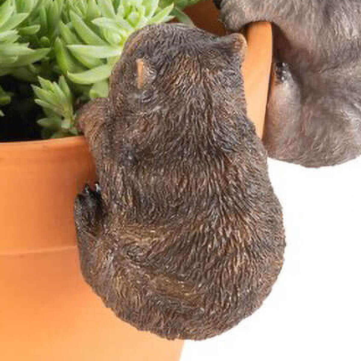 Australian animal pot sitters / pot huggers
