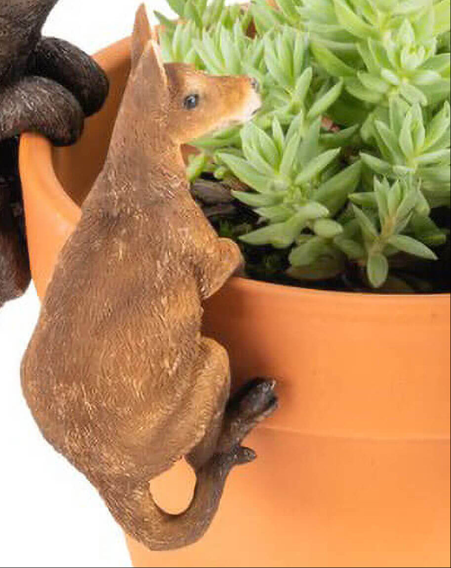 Australian animal pot sitters / pot huggers