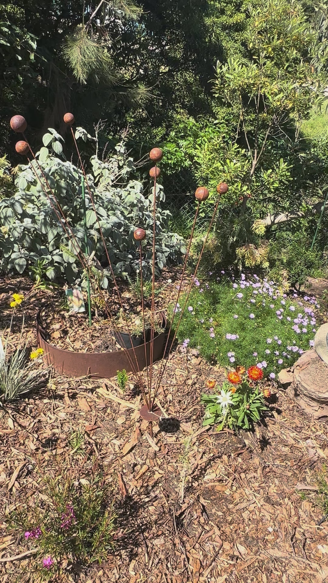 Rustic Billy Buttons Kinetic Garden Art
